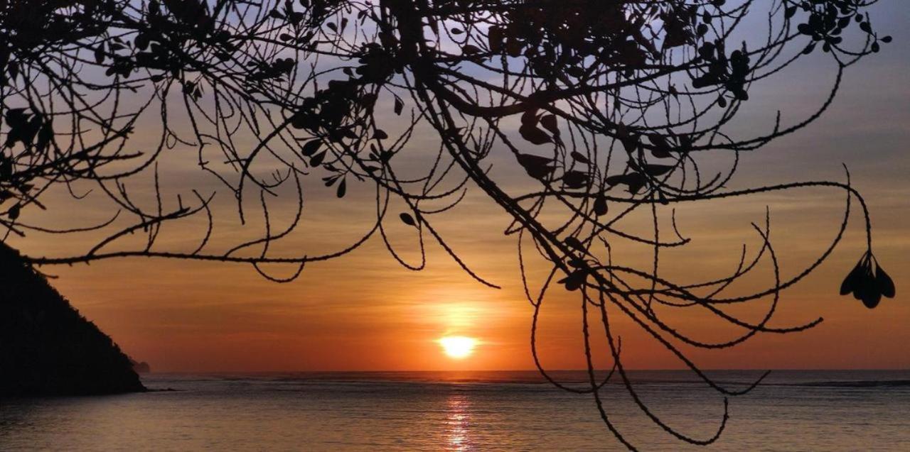 Firesky Glamping Ocam Ocam Beach New Busuanga ภายนอก รูปภาพ