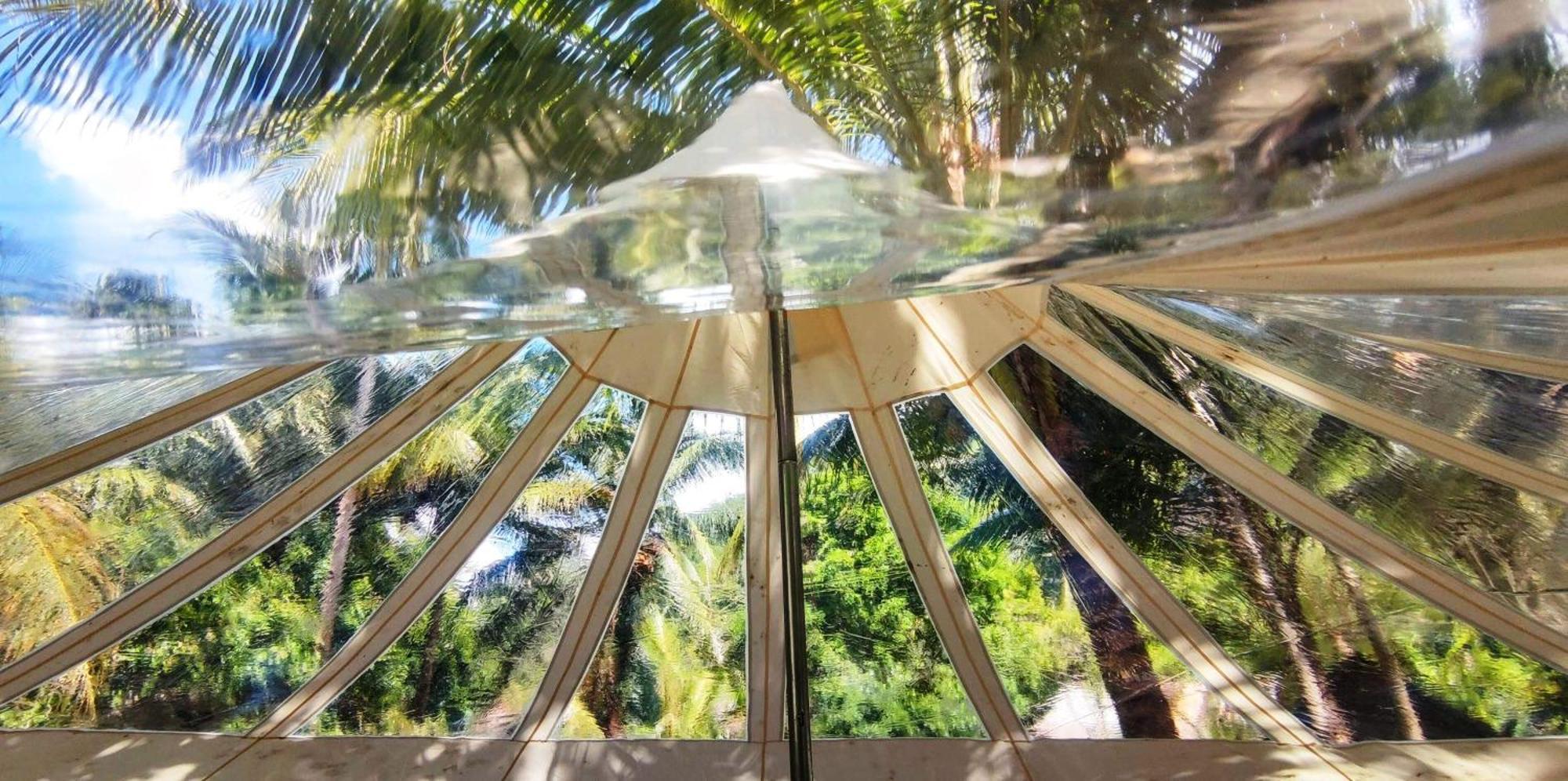 Firesky Glamping Ocam Ocam Beach New Busuanga ภายนอก รูปภาพ